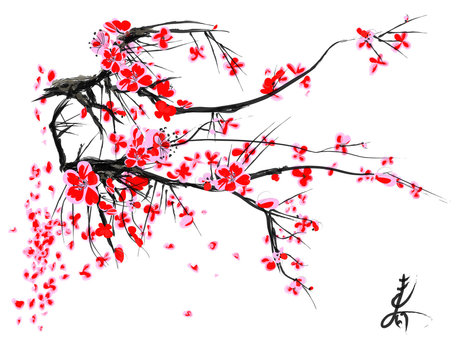 Realistic sakura blossom - Japanese cherry tree isolated on white background. Vector illustration