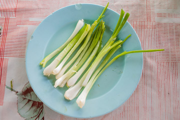 Green Onion on dish 