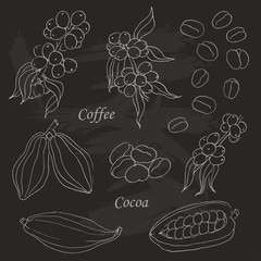 Set of coffee and cocoa elements doodle style on the black background.