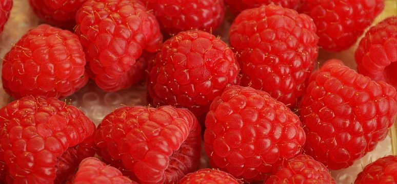 fresh raspberries ripe and juicy