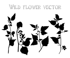 Set silhouettes of wild flowers vector