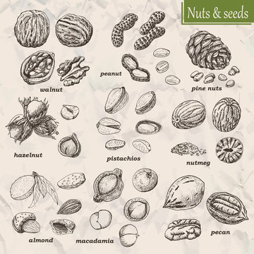Collection of nuts and seeds