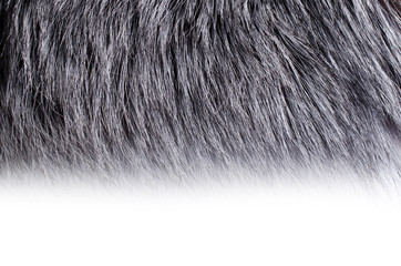 Background of dark fur