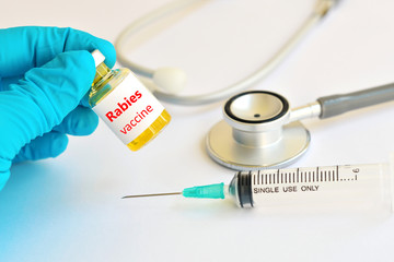 Rabies virus vaccine
