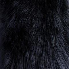 Background of dark fur
