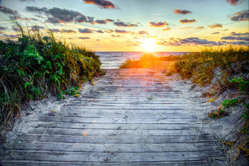 Wooden path over dunes at a beach
