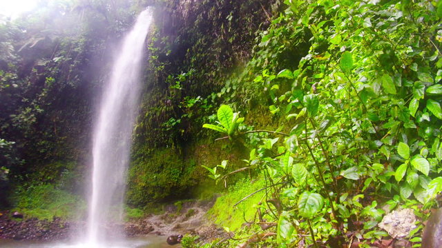 A serene waterfall flows down a moss-covered cliff surrounded by dense green vegetation - the Hola Vida falls in the Ecuadorian Amazon, captured at a medium distance for its natural tranquility.