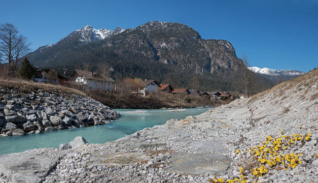 Loisach Flussbett in Garmisch-Partenkirchen, bl&uuml;hender Huflatti