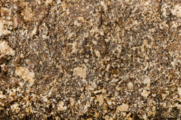 黒砂糖ブロックの表面