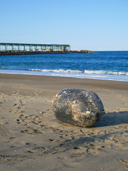 海岸に流れ着いた巨大な浮き

