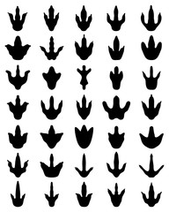 Black footprints of dinosaurs on a white background, vector
