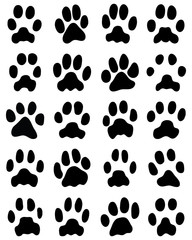 Black print of cats paws on white background, vector