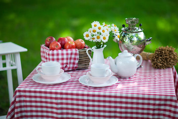 tea party on the nature
