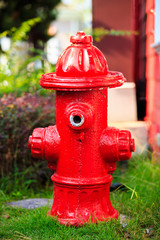 Fototapeta na wymiar Fake of Red Fire pumps, Fire Department Connector, Fire hydrant, Hose Connection.