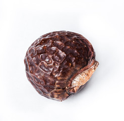 Soap nut tree isolated on  white background. natural, organic