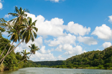 Obraz premium Tropical river Chavon in Dominican Republic