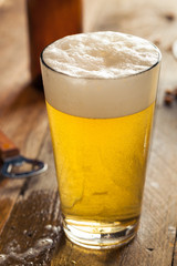 Refreshing Summer Pint of Beer