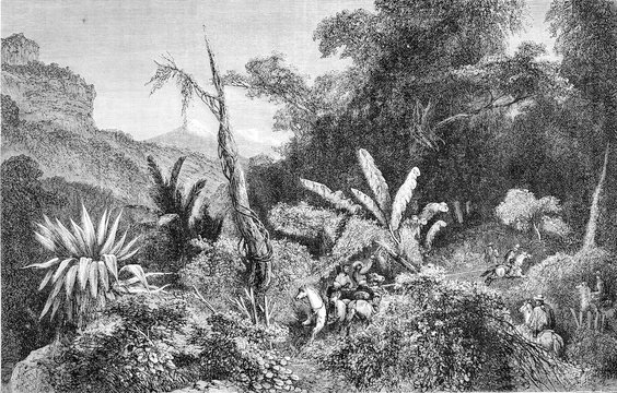 Fight between Jarochos, Remember the farm side of America, vinta