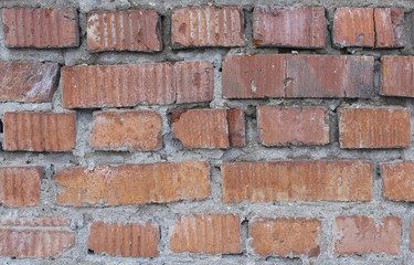 Empty Red Brick Wall