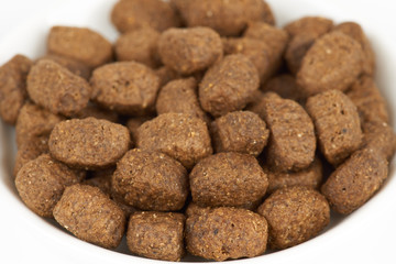 Dog food on white