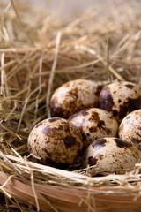 Naklejka na ściany i meble Few quail eggs in a nest from straw