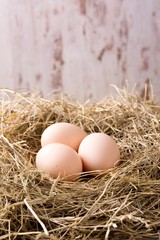 Three hen eggs placed on haystack