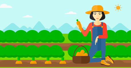 Farmer collecting carrots.