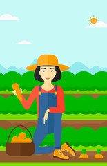 Farmer collecting carrots.