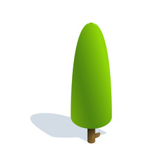 Isometric tree  on white background.  Vector illustration Isometric tree with shadow. Isometric tree vector icon illustration.