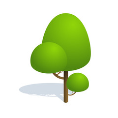 Isometric tree  on white background.  Vector illustration Isometric tree with shadow. Isometric tree vector icon illustration.