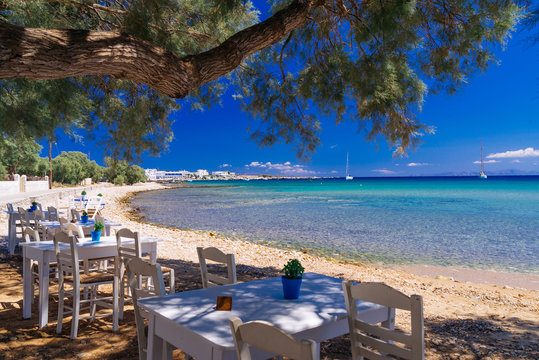 Fototapeta Cute little tavern in the olive shade on Paros island, cycladic paradise resort, Cyclades, Greece