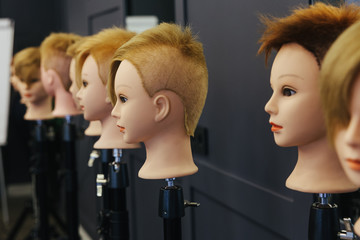 Beautician model heads for practicing in beauty school  - 106315059