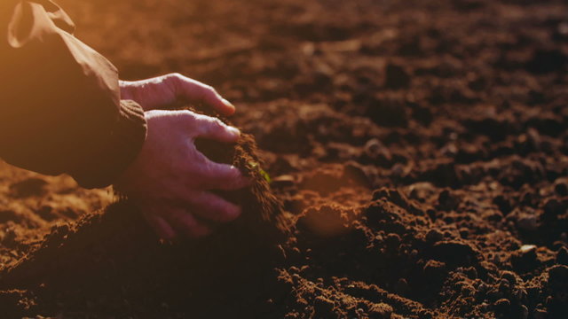 Farmer examining soil. Agriculture background.