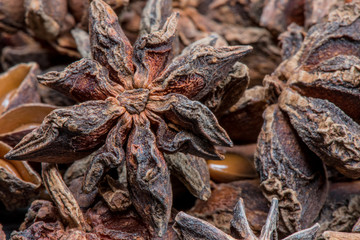 Focus on Single Star in Group of Star Anise