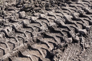 Reifenspuren auf einem schlammigen Feldweg