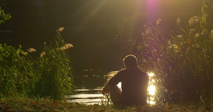 Man is Sitting at the Lake Bank Looking at Swan Man's Silhouette White Swan is Swimming at the Lake Overgrown Bank Green Reed Sun's Reflection