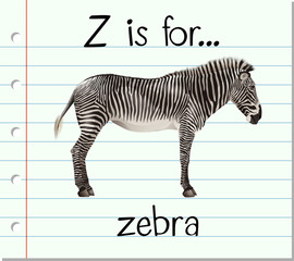 Flashcard letter Z is for zebra © blueringmedia
