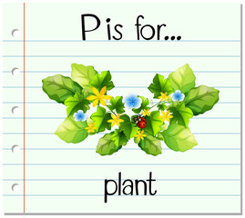 Flashcard letter P is for plant