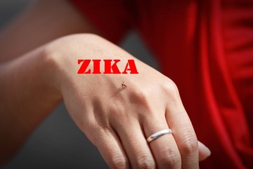 mosquito sucking blood with Zika word