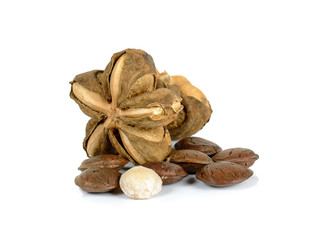 sacha inchi peanut seed on white background