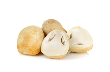 straw mushroom isolated on white background