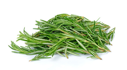 rosemary isolated on the white background