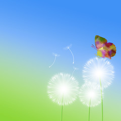 Obraz premium 春の風景