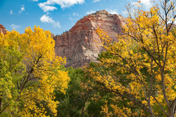 Zion Changing of the Seasons
