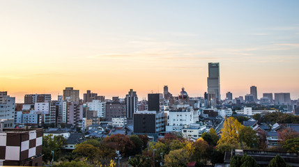 Fototapeta na wymiar Osaka town view
