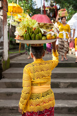 Senior woman with plate full of fruits on the head during the celebration before Nyepi (Balinese Day of Silence). Ubud, Indonesia.