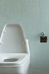 toilet interior modern home