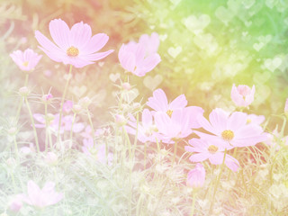 Flower background 32