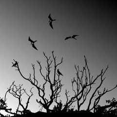 deathtree silhouette with birds flying