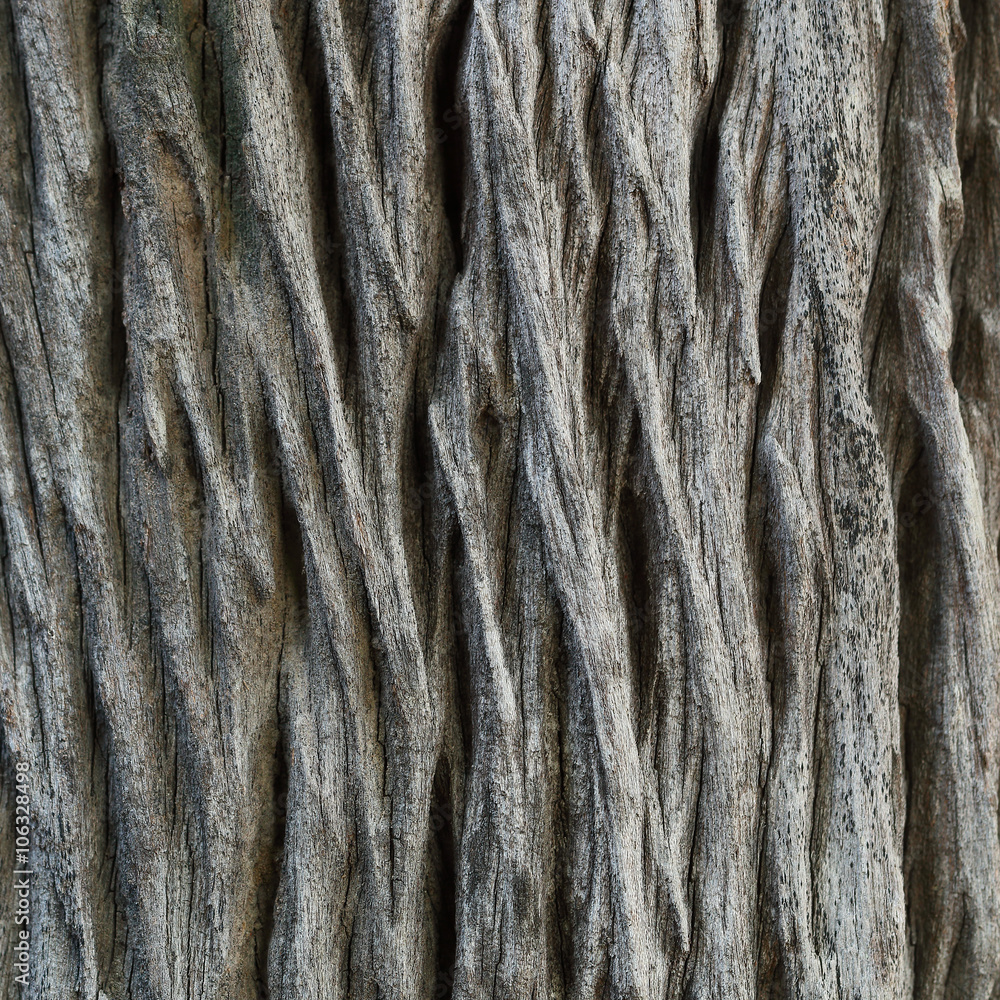 Poster grain wood texture for pattern and background